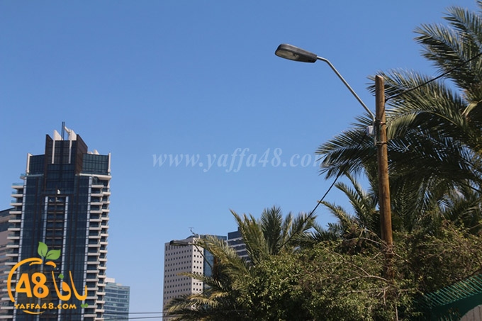 inara 7sanbek (1).JPG